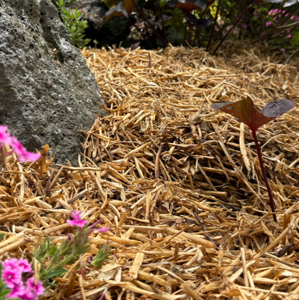 Pea Straw Bale - Garden Mulch