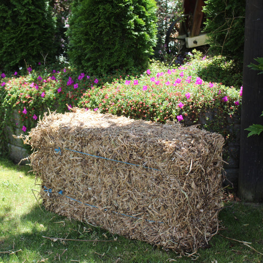 Waiheke Island Residents Only - Pea Straw Bale Incl Delivery