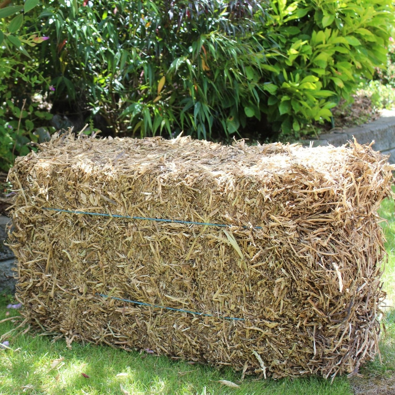 Pea Straw Bale - Garden Mulch - Auckland Pea Straw