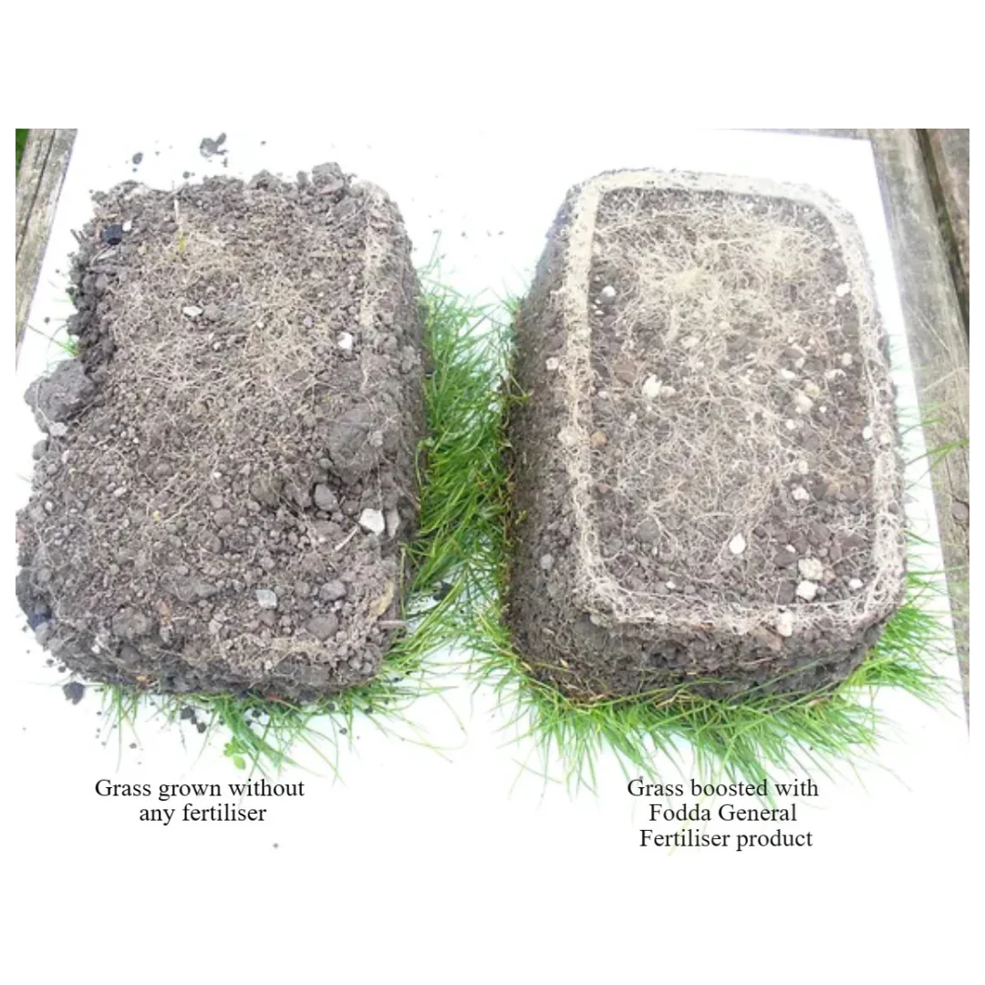 Fodda Natural Fertiliser - Image 3