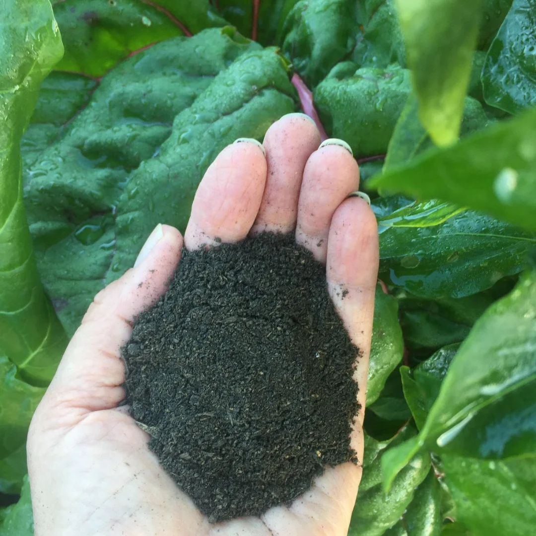 Fodda Natural Soil Enhancer - Image 3