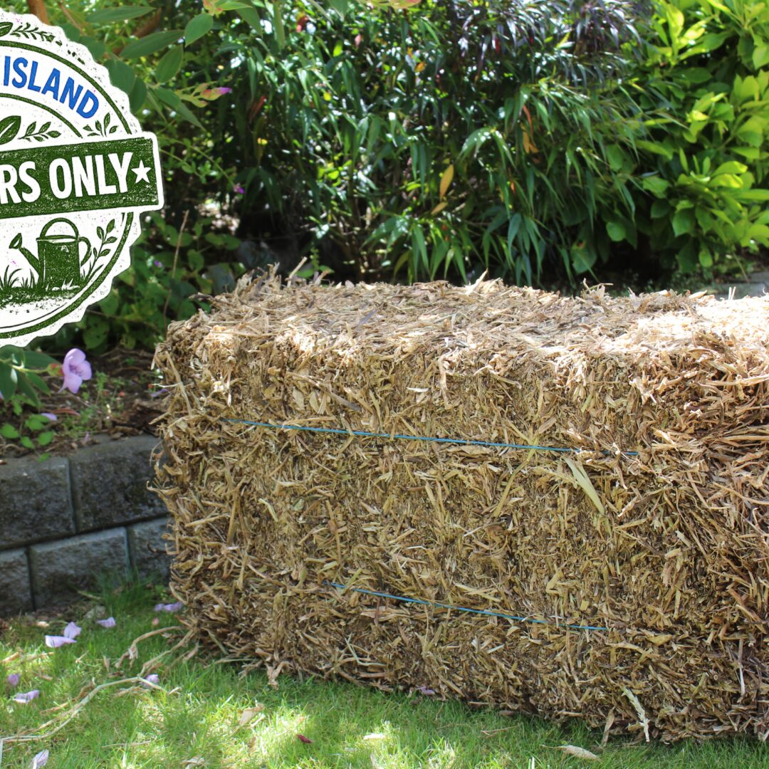 WAIHEKE ISLAND Residents Only - Pea Straw Bale Incl Delivery