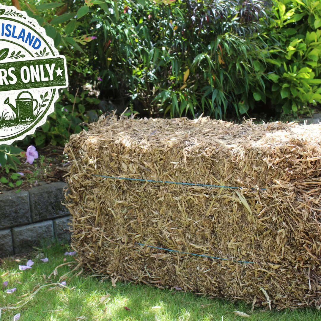 WAIHEKE ISLAND Residents Only - Pea Straw Bale Incl Delivery