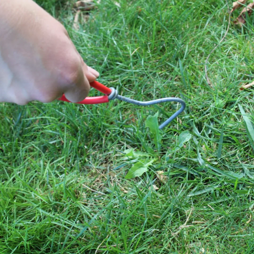 Wonder Weeder - Image 3