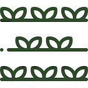 Soil health icon with young green sprouts icon