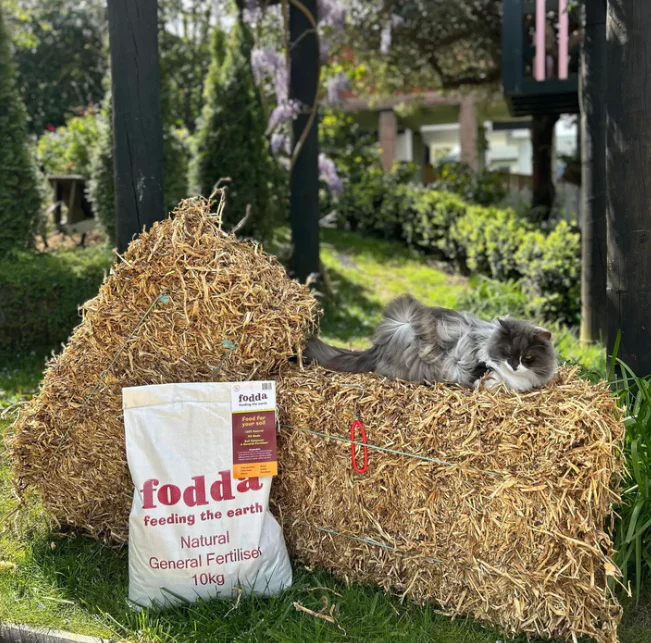 Convenient Garden Combo with FREE Wonder Weeder