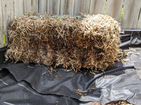 photo if weed edging and boxing