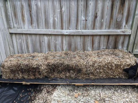 photo of single crating and boxing bale