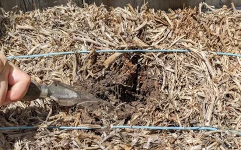 straw bales conditioning process step 4
