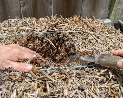 straw bales conditioning process step 3