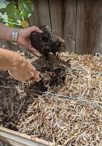 straw bales conditioning process step 5
