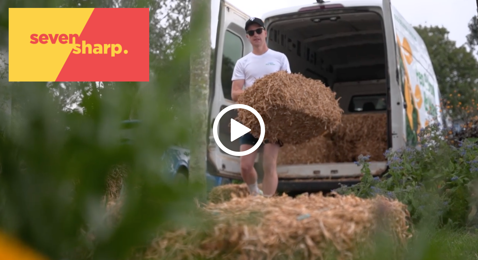 Pea Straw on Seven Sharp